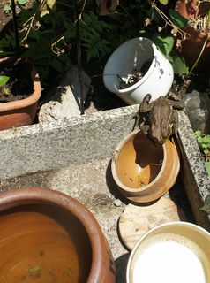 DSC04447.jpg