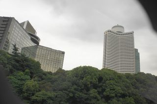DSC04481.jpg