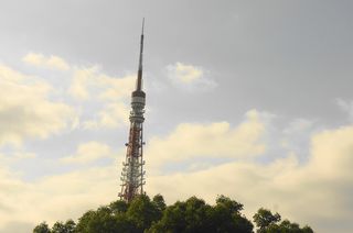 DSC04538.jpg