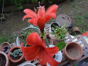DSC04548.jpg