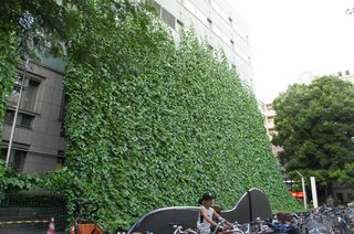 DSC04655.jpg