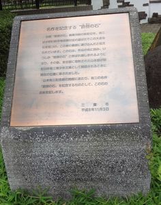 DSC04669.jpg