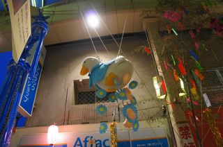 DSC04691.jpg
