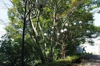 DSC04810.jpg
