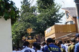 DSC04917.jpg