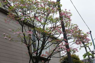 DSC05558.jpg
