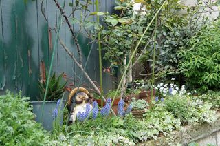 DSC05572.jpg