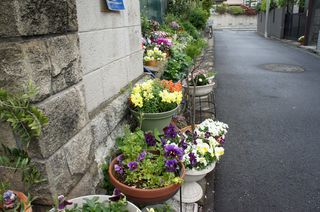 DSC05578.jpg