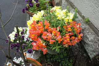 DSC05582.jpg