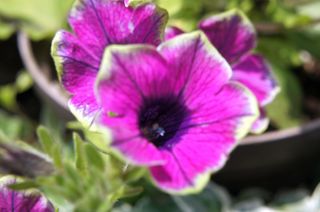 DSC05903.jpg