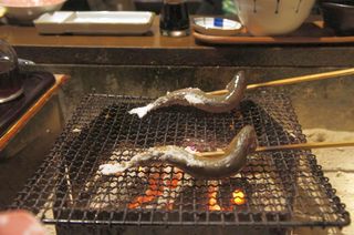 DSC05971.jpg