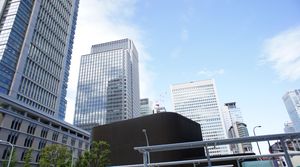 DSC06091.jpg