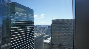 DSC06105.jpg