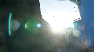 DSC06884.jpg