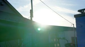 DSC06886.jpg