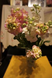 DSC07113.jpg