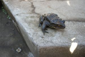 DSC07327.jpg
