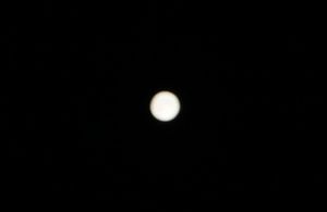 DSC08194.jpg