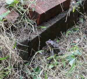 DSC08216.bmp