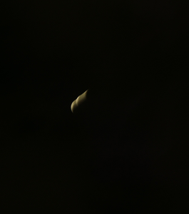 DSC09447.bmp