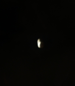 DSC09448.bmp