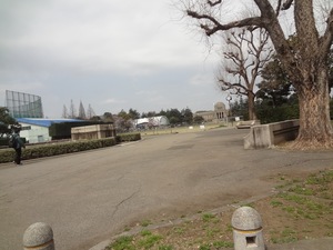 DSC09502.jpg