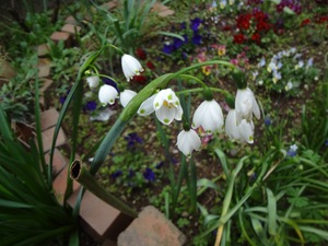 DSC09512.jpg
