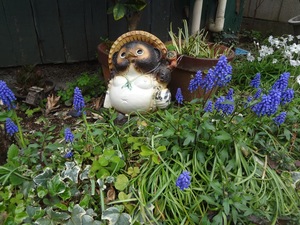 DSC09519.jpg