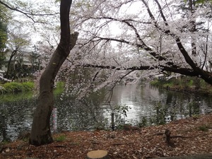 DSC09533.jpg