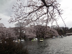 DSC09548.jpg