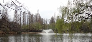 DSC09551.jpg