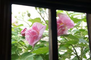 すいふよう6.jpg