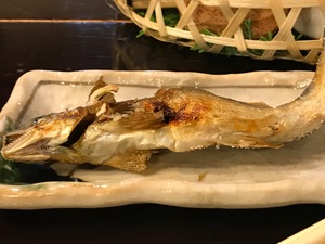 IMG_1579.jpg