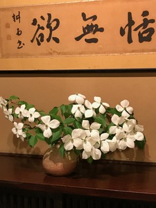 IMG_1615.jpg