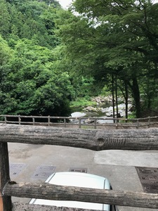 IMG_1653.jpg