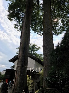 IMG_1678.jpg