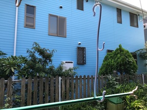 IMG_21392.jpg