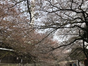 IMG_3806.jpg