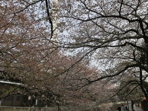 IMG_3807.jpg