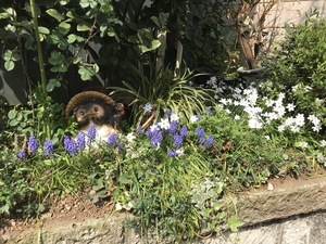 IMG_3816.jpg