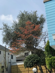 IMG_3821 2.jpg