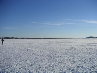 PICT0246.jpg