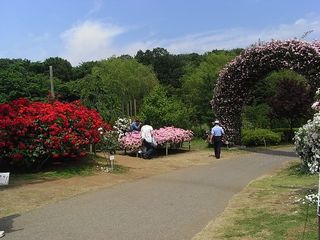R0014558.jpg
