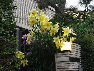 R0014837.jpg
