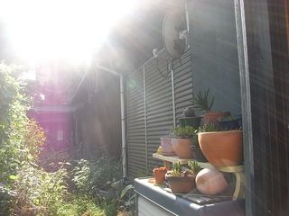 R0015204.jpg
