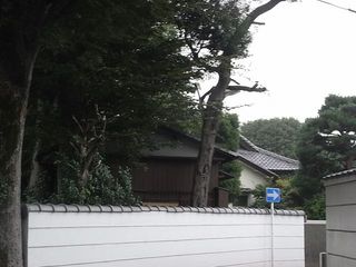 R0015704.jpg