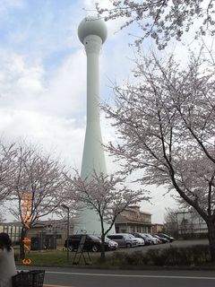 asaka10.jpg