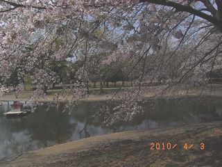 asaka16.jpg