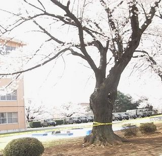 asaka19.jpg