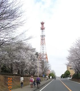 asaka3.jpg
